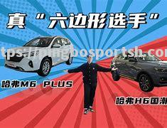 平博-东南欧选手豁达洒脱，唯我独尊