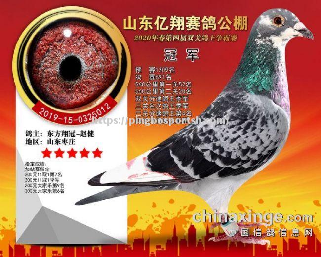 平博-东欧篮球实力派球队集结成冠军之师
